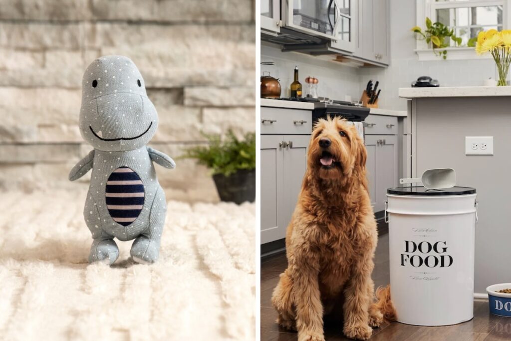 On the left is a photo of a grey dog toy dinosaur while on the right is a brown dog in a kitchen sitting beside a white Dog Food bucket from Harry Barket.