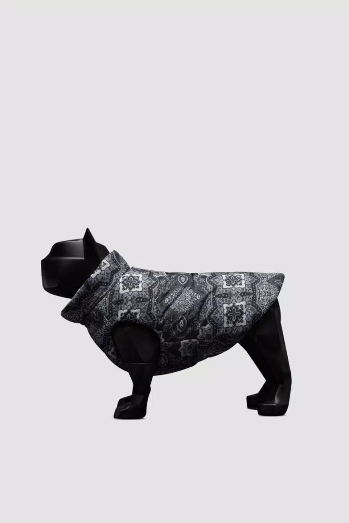A black dog model in a black and grey patterned puff vest from the Montcler pet collection.