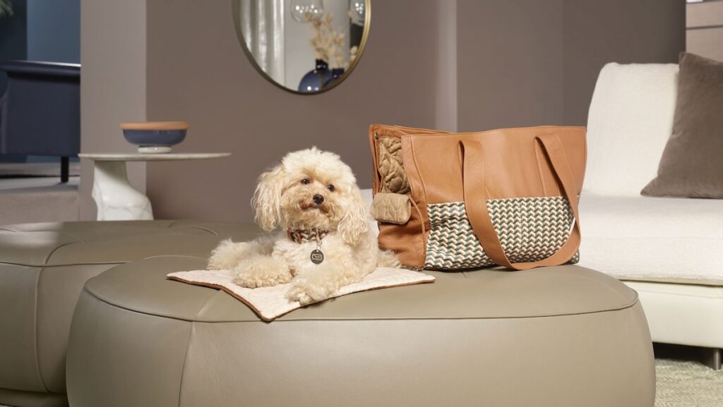 A small white dog sits on a beige dog bed from Poltrona Frau's Pet Collection with a leather pet carrier bag to the right.