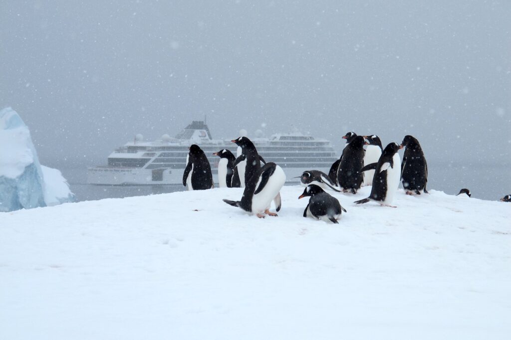 A group of penguins sit on a snow mound with the viking cruise ship in the background.