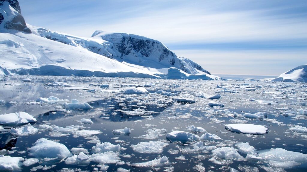 Chunks of ice sit in the Antarctic water with large mountains and a clear sky in the background.