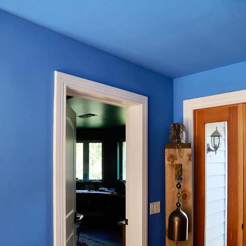 Blue Alkemis paint on the wall of a home interior.