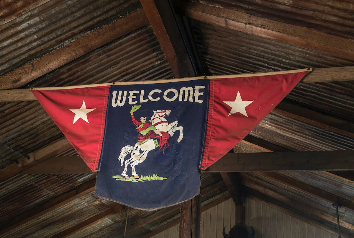 A flag over a rooftop with two red stars on either side and a white horse jumping on a black background