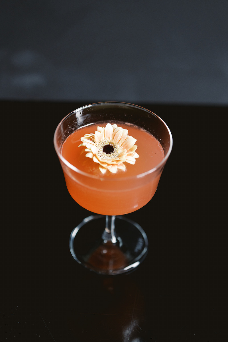 A pink cocktail with a flower floating at its center on a black background